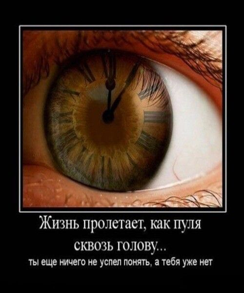 Жизнь пролетает как пуля СКВОЗЬ ГОЛОВУ ты еще щчего не успел поить тебя уже нет