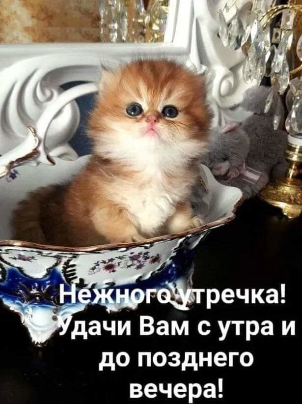 до позднего вечера