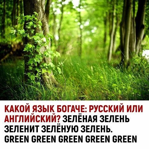 КАКОИ _ЯЗЬЩ БОГАЧЕ РУССКИМ ИЛИ АНГЛИИСКИЩ ЗЕЛЕНАЯ ЗЕЛЕНЬ ЗЕЛЕНИТ ЗЕЛЕНУЮ ЗЕЛЕНЬ БПЕЕМ БКЕЕМ БПЕЕМ ОКЕЕМ БКЕЕМ