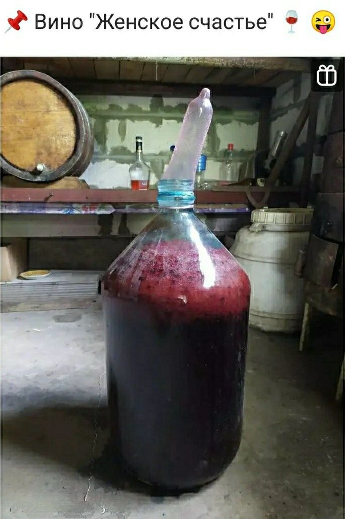 ВиноЖенсое счастье