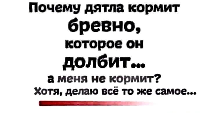 Почему дятла кормит бревно которое он долбит меня не кормит хотя делаю всё то же самое