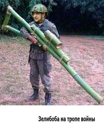 Зелибоба на тропе войны