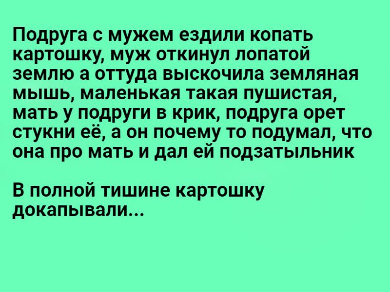 Подруга с мужем ездили копать картошку муж откинул лопатой землю а оттуда выскочила земляная мышь маленькая такая пушистая мать у подруги в крик подруга орет стукни её а он почему то подумал что она про мать и дал ей подзатыльник В полной тишине картошку докапывали