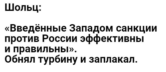 Шопьц Введённые Западом санкции против России эффективны и правильны обнял турбину и заплакал