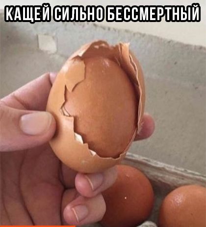 внссмвртныи