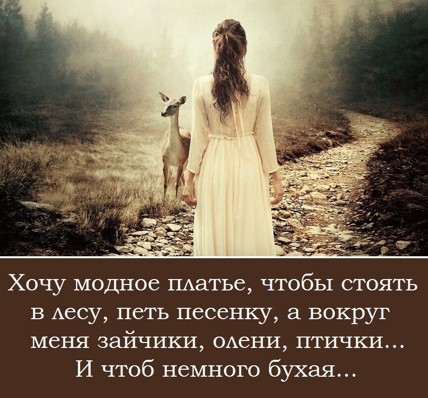 Хочу модное щатье чтобы стоять в Аесу петь песенку а вокруг меня зайчихи ОАени птички И чтоб немного бухая