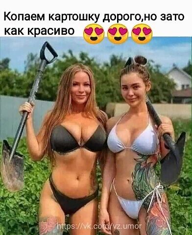 Копаем КЗРТОШКУ до Г0НО зато 1 друг иЪіпитШ