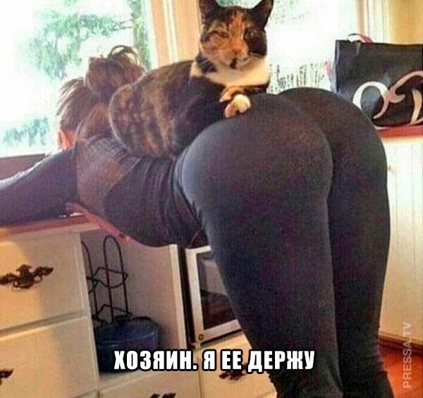 ж г ИПМИ ПТЁЕУДЕПШ