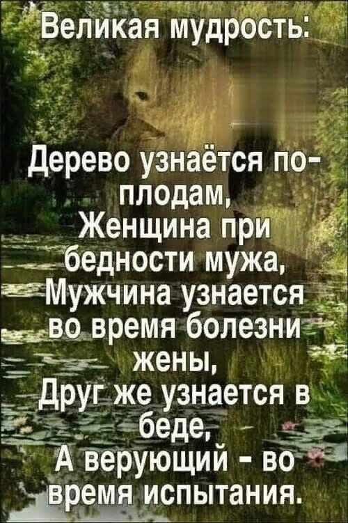 тт ттт ёё ая МУДЁЁТЫЩ д дерево УЗНаё плодам Женщина прим бедности мужа _ дМужчина узнается ё ввцвремя болезнигёі жены __ др даёжик _а тся Нда _ ЖЁ узнается в ЁЁ еде 5593 ЖЁерующии не Премдиспытанияч