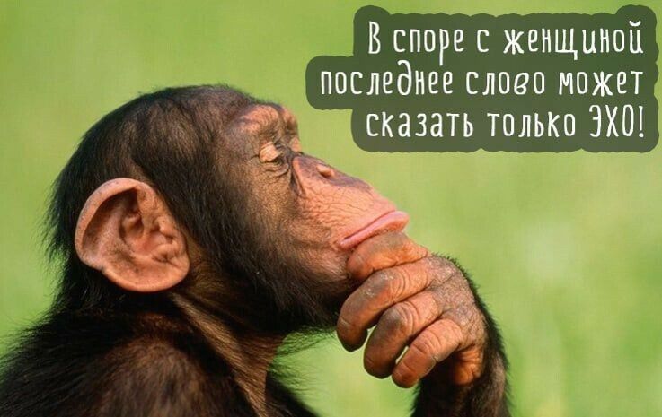 Вспаре с женщиной последнее слова может сказать только ЭХО