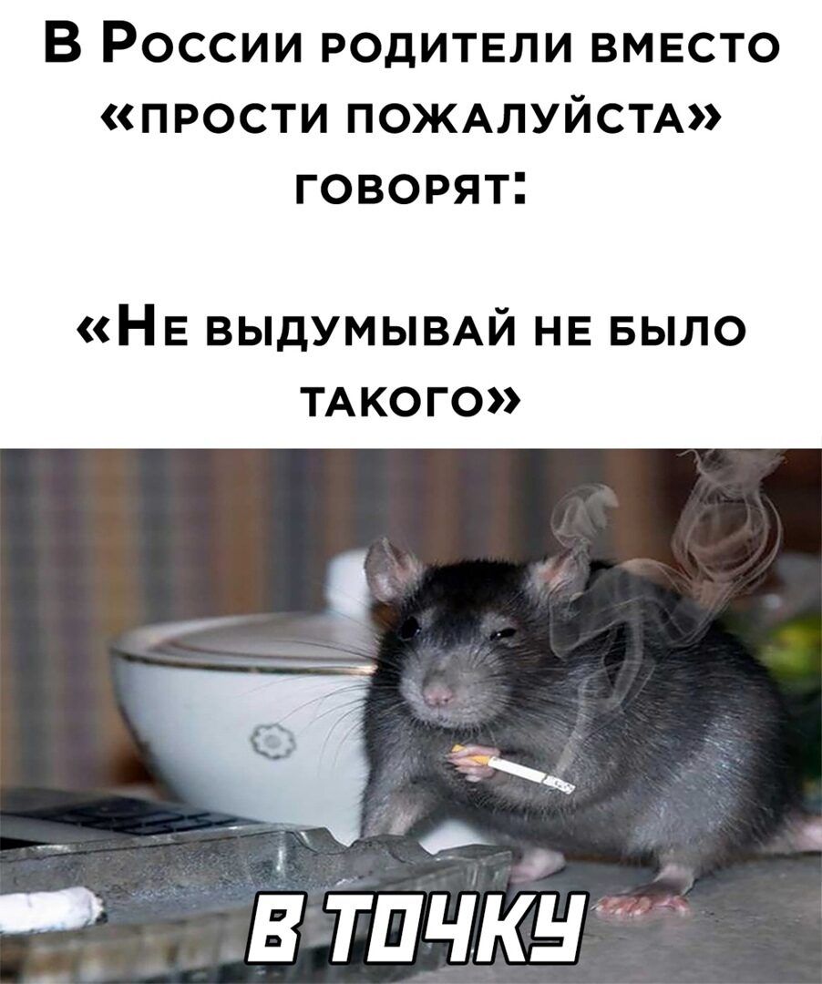 В России родители вместо прости ПОЖАЛУЙСТА говорят НЕ ВЫДУМЫВАЙ НЕ БЫЛО ТА КО ГО 1 Ё Тлчк