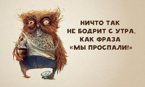 НИЧТО ТАК НЕ БОдРИТ С УТРА КАК ФРАЗА мы ПРОСПАЛИ
