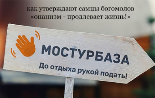 утверждают самцы Гюгомолпн вннзм _ продлен чп жизнь