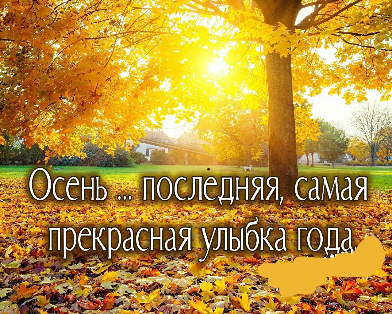 Осень последняя саМая преКрасная упыбКа года