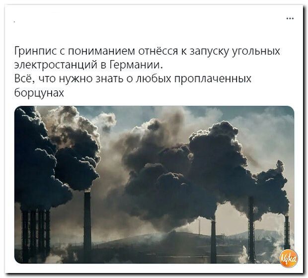 Гринпис пониманием отнесся к запуску угольных злэктростанций в Германии Все що нужно знать о любых праплаченных Ьорцуиах