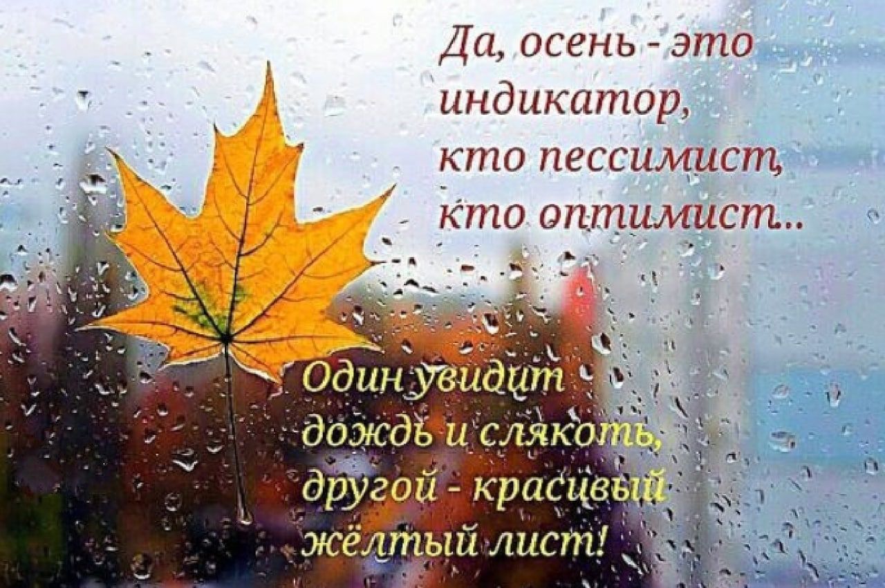 Блок дождик и слякоть. Осень это индикатор кто оптимист. Картинки осень дождь. Осеннее настроение цитаты. Дождливая осень с надписями.