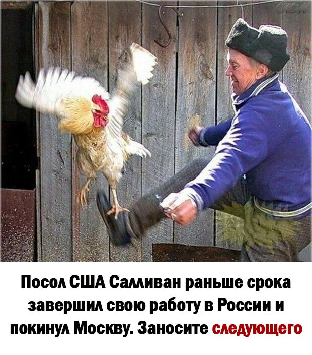 Посол США Сшиваи раньше срока завершил свою работу в России и покинул Москву Заиосите следующего