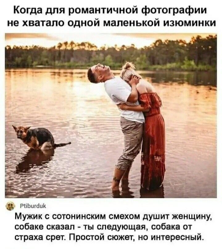 Когда для романтичной фотографии не хватало одной маленькой изюминки 3 им Мужик сотонинским смехом душит женщину собака сказал ты следующая собака от страха срег Простой свежа но инирвсный