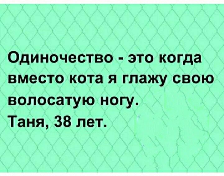 Одиночество это когда вместо кота я глажу свою волосатую ногу Таня 38 лет