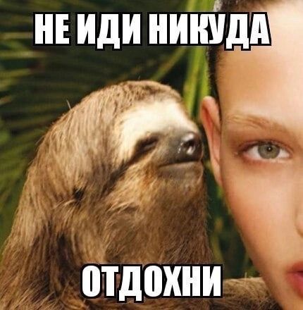 ЕИДИНИНШДП х ПТДПХНИ