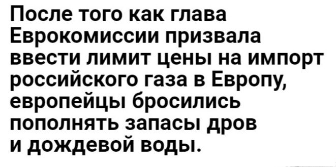 После того как глава Еврокомиссии призвала ввести лимит цены на импорт российского газа в Европу европейцы бросились пополнять запасы дров и дождевой воды