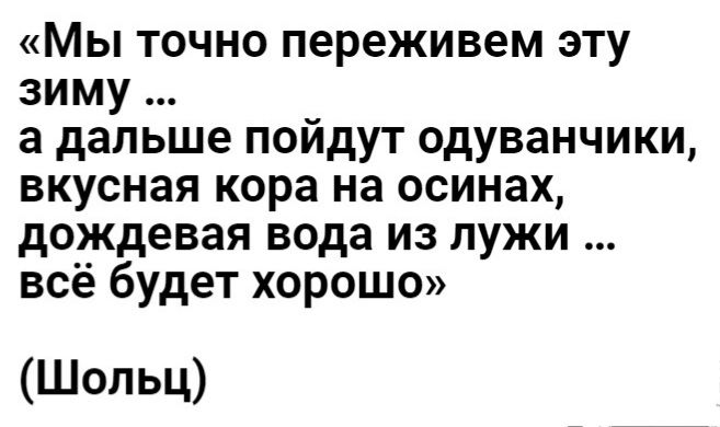 Мы точно переживем эту зиму а дальше пойдут одуванчики вкусная кора на осинах дождевая вода из пужи всё будет хорошо Шольц