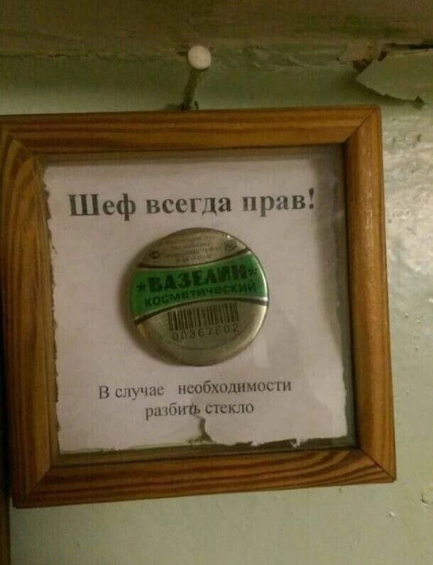 Шеф носи щин нпйхпдпипц п и см
