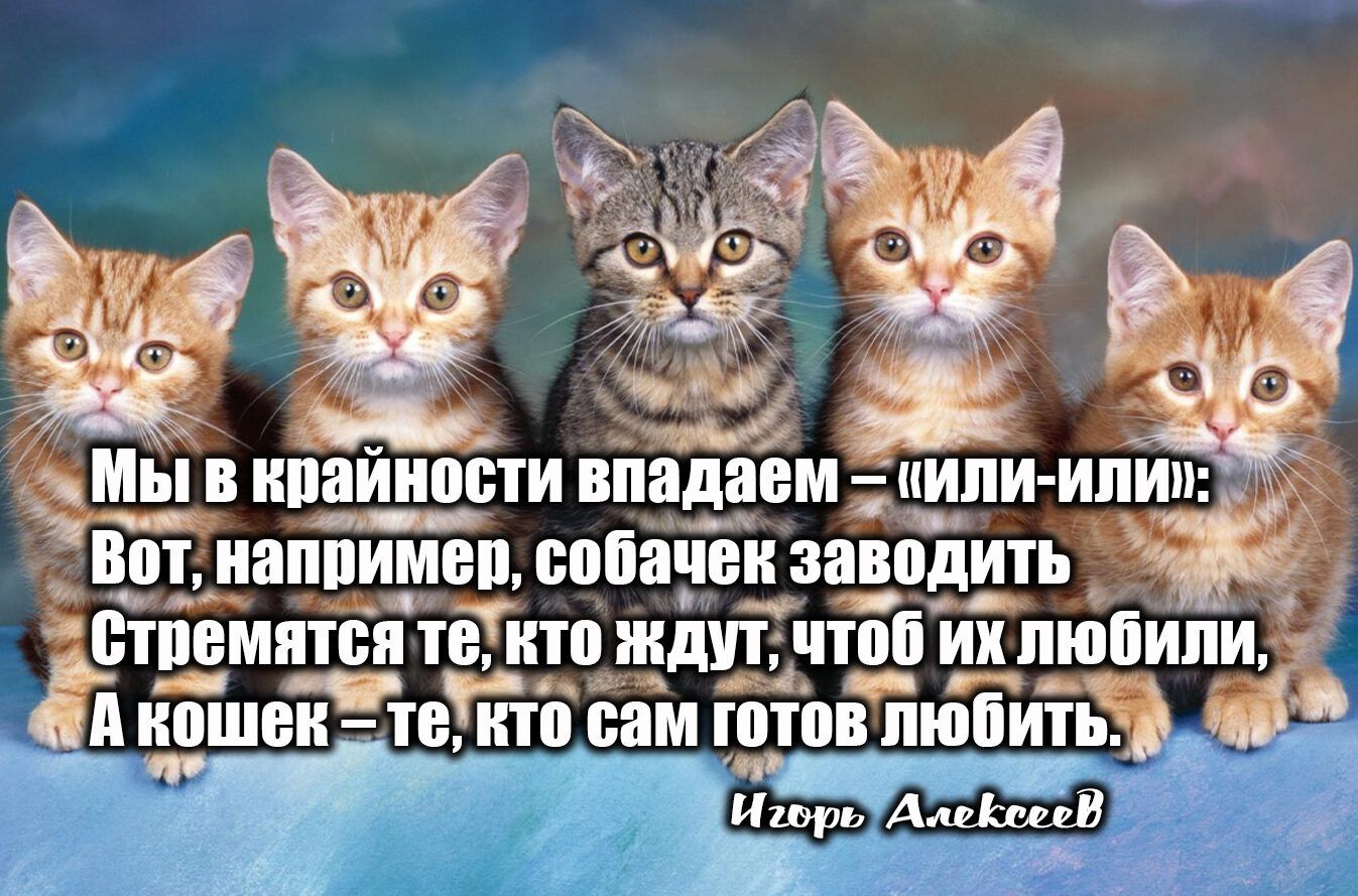 Мы и ипаиипсти вітадаем __кипи ипии Вот минимум саба _Геіт ___за__впдить _ _ птп_емятсп тЕкто иддп _поп их любили ипшви чето вам ютпв пищит и Дидди Ь