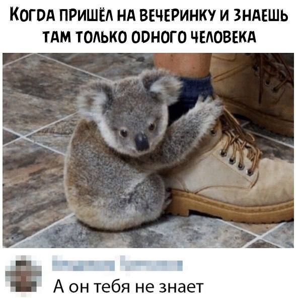 КОГПА ПРИШЁА НА ВЕЧЕРИНКУ И ЗНАЕШЬ ТАМ ТОАЬКО ООНОГО ЧЕЛОВЕКА