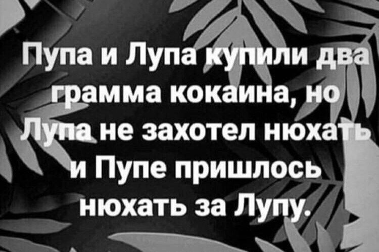 Пупа и Луп и зима кок и а не захотел нюх Пупе пришлось нюхать за Лу