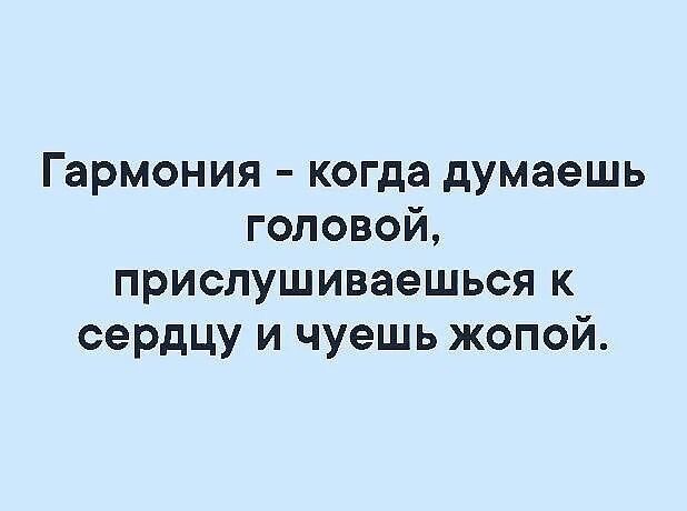 Гармония когда думаешь головой прислушиваешься к сердцу и чуешь жопой