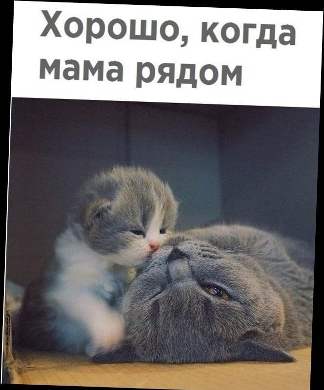Хорошо когда мама рядом