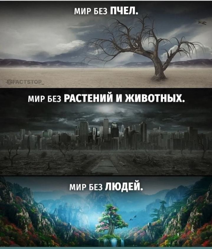 МИР БЕЗ ЧШ