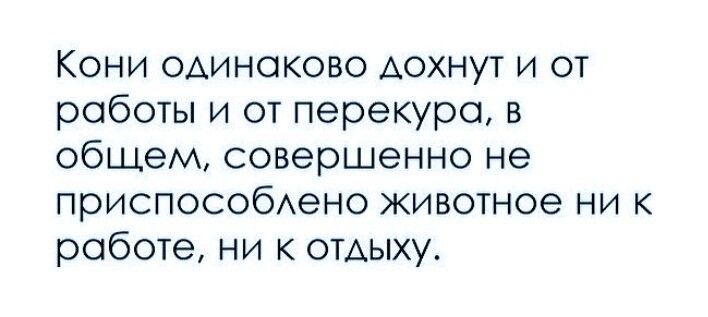 Кони одинаково дохнут и от работы и от перекуро в общем совершенно не приспособАено животное ни к работе ни к отдыху