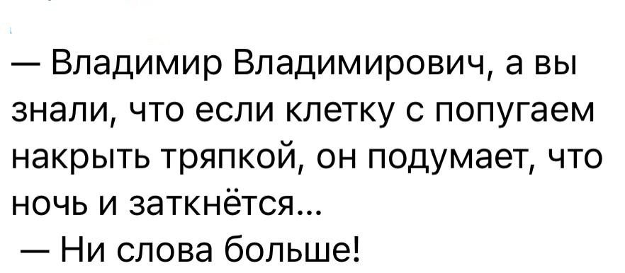 Владимир Владимирович а вы знали что если клетку попугаем накрыть тряпкой он подумает что ночь и заткнётся Ни слова больше