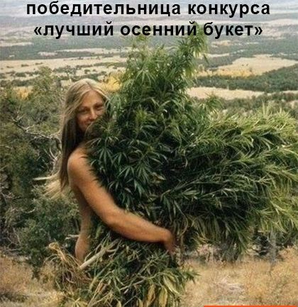 победительница конкурса лучший 095