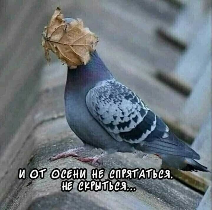 НЕ СПРЯТ Тья ект Тья