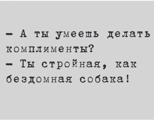 А ты умеешь делать комплименты Ты стройная как бездомная собака