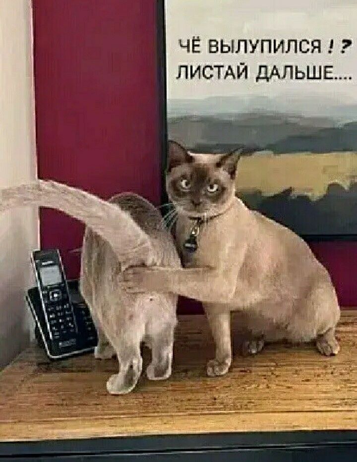 ЧЁ ВЫЛУПИЛСЯ ЛИСТАЙ ДАЛЬШЕ
