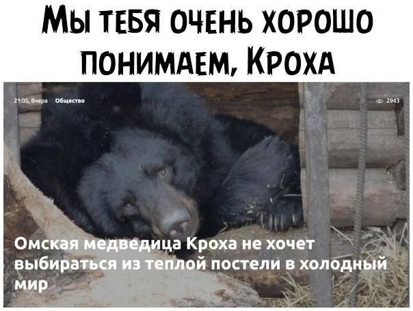 Мы ТЕБЯ очень хорошо понимдвм Крохд ца Кроха не хочет й постели в холодный
