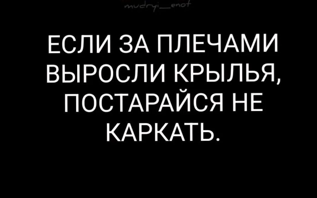 ЕСЛИ ЗА ПЛЕЧАМИ ВЫРОСЛИ КРЫЛЬЯ ПОСТАРАЙСЯ НЕ КАРКАТЬ