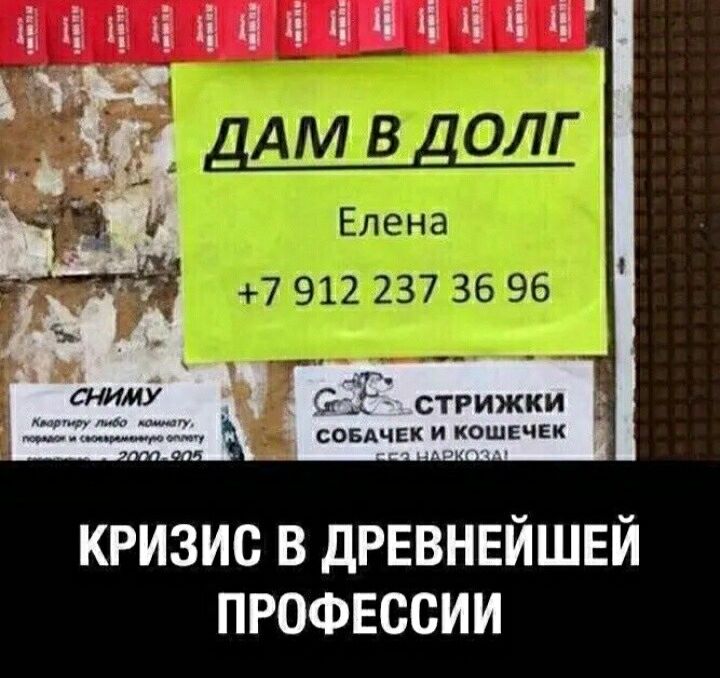 ха ні 15 ні А У _КЭЁПГ _ і11ді стрижки 2221 кошечки кризис в дРЕВНЕЙШЕЙ профессии