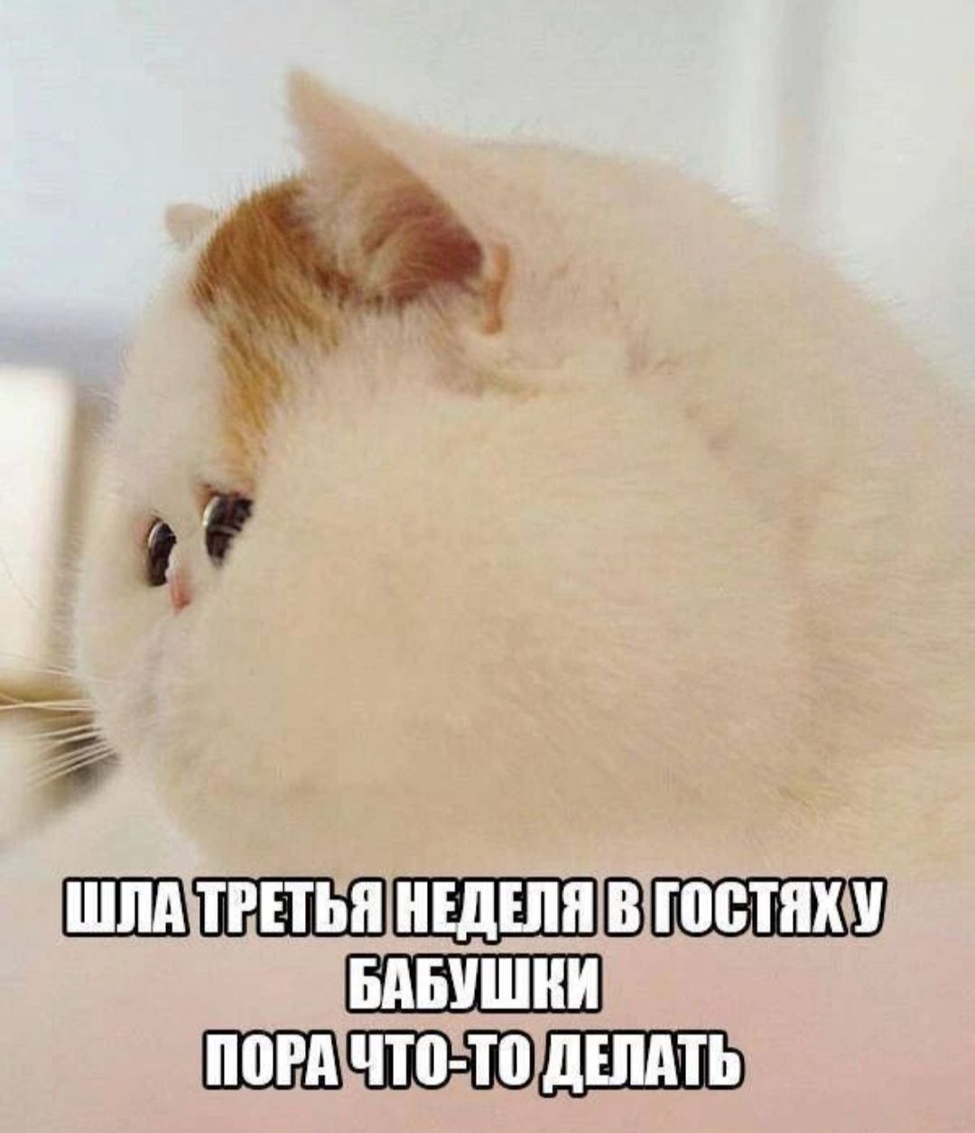 СШ ШШШ В ііт П 1х Ц
