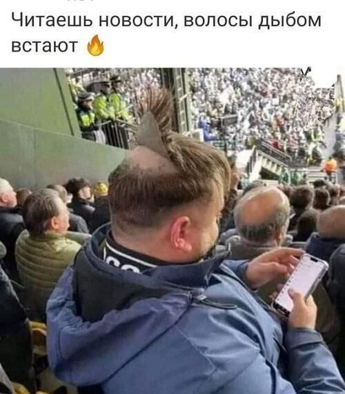 Читаешь новости волосы дыбом встают