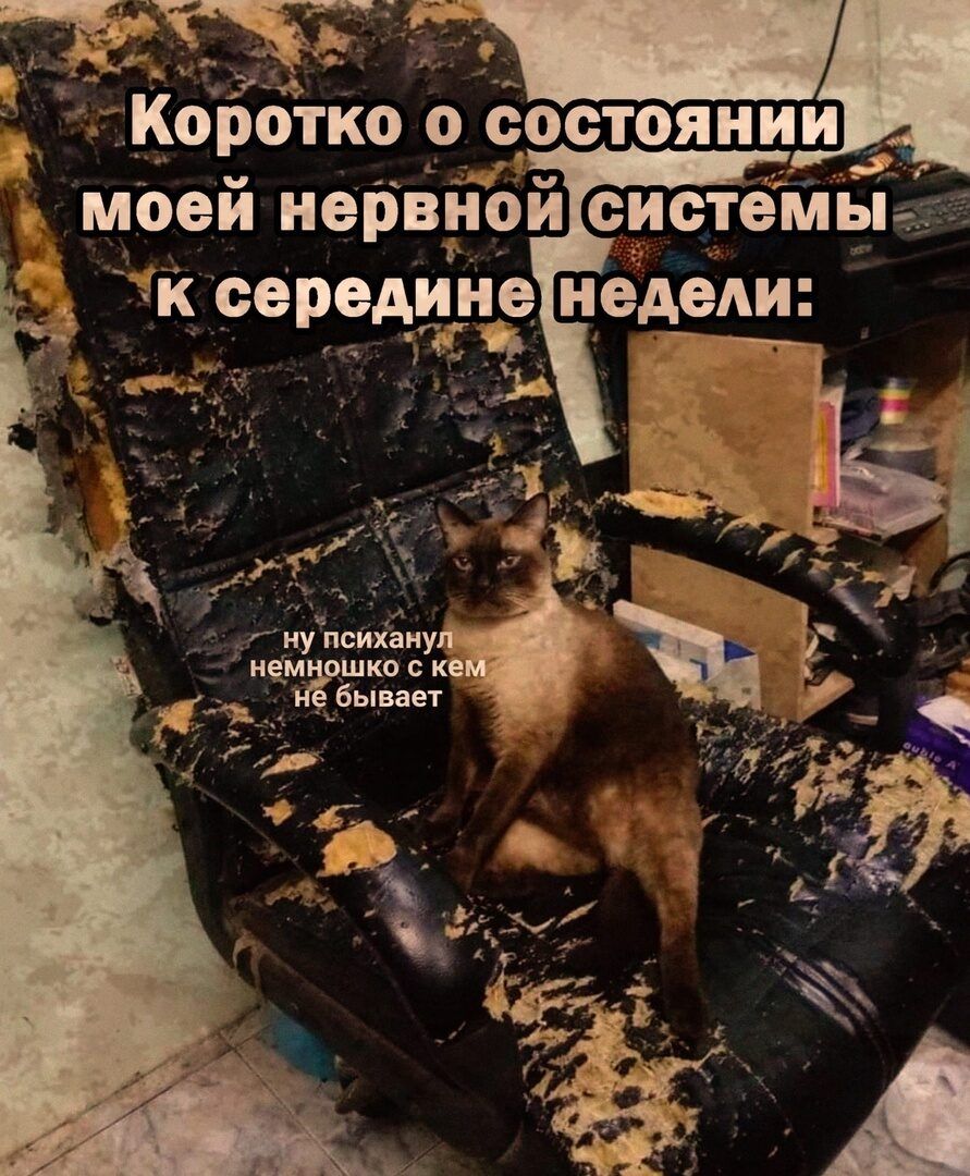 психапу _шко к