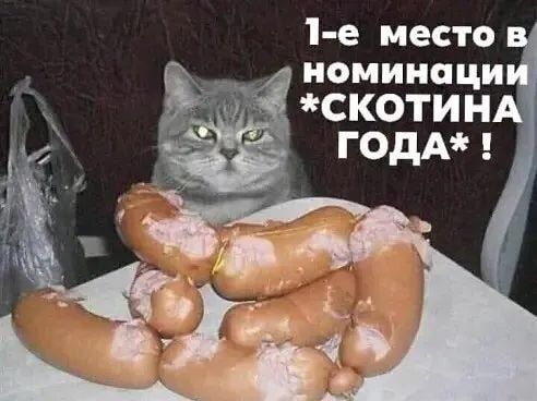 1 е место иомииаци СКОТИН ГОдА