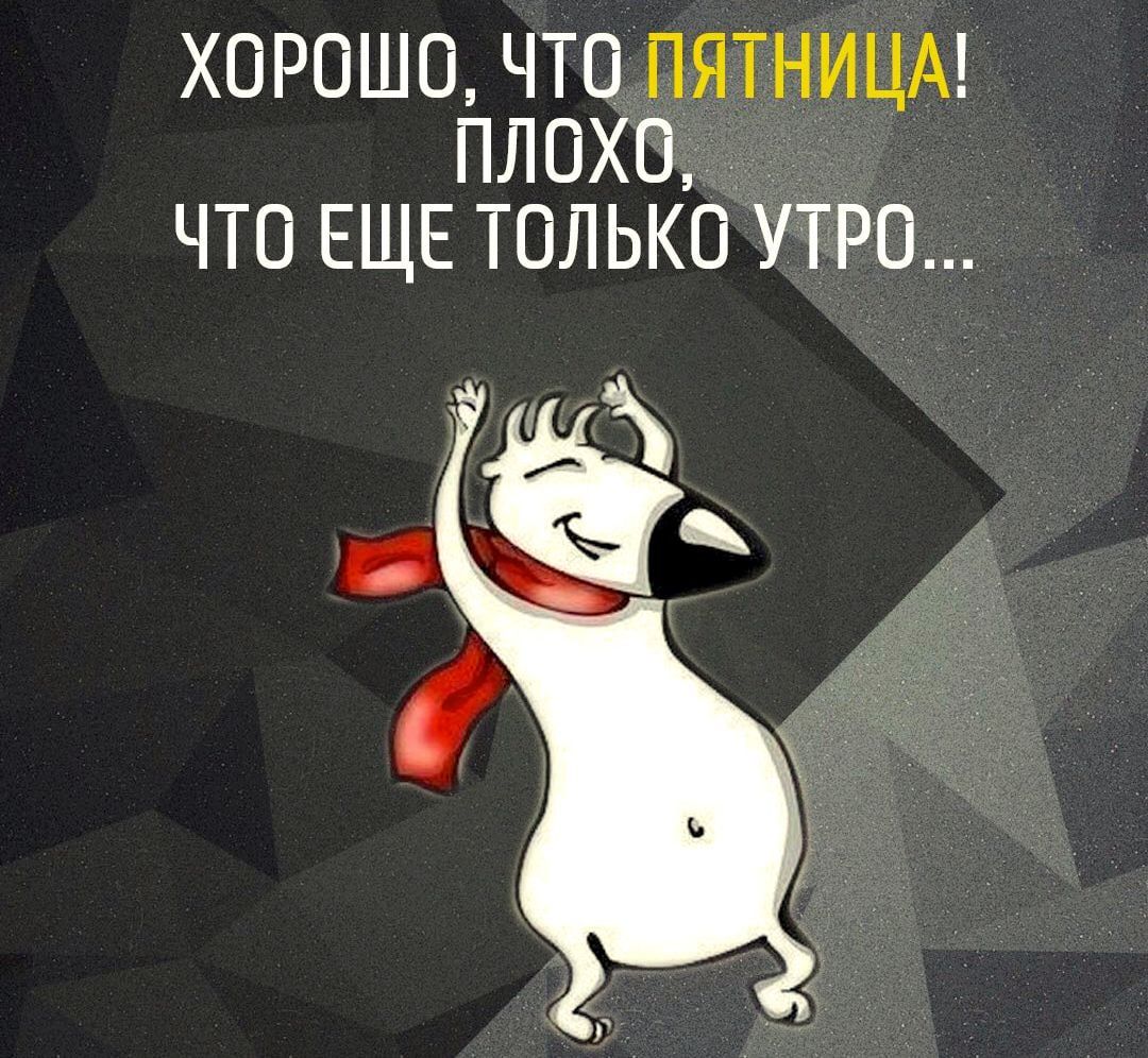 ХОРОШО ЧТО ПЯТНИЦА ПЛОХО ЧТО ЕЩЕ ТОЛЬКО УТРО