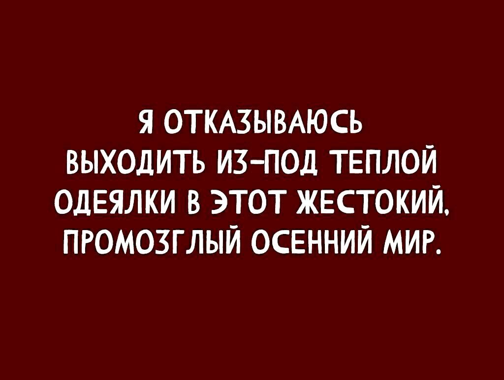 Я ОТКАЗЫВАЮСЬ ВЫХОДИТЬ ИЗ ПОД ТЕПЛОЙ ОДЕЯЛКИ В ЭТОТ ЖЕСТОКИЙ ПРОМОЗГЛЫЙ ОСЕННИЙ МИР