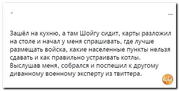 Зашел на кухню а там Шойгу сидит карты разложил на столе и начал у меня спрашивать где лучше размещать войска какие населенные пункты нельзя сдавать и как правильно устраивать котлы Выслушав меня собрался и поспешил другому диваннсму военному эксперту из твиттера