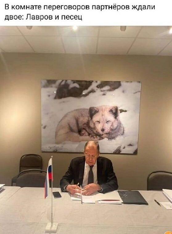В комнате переговоров партнёров ждали двое Лавров и песец _ П _